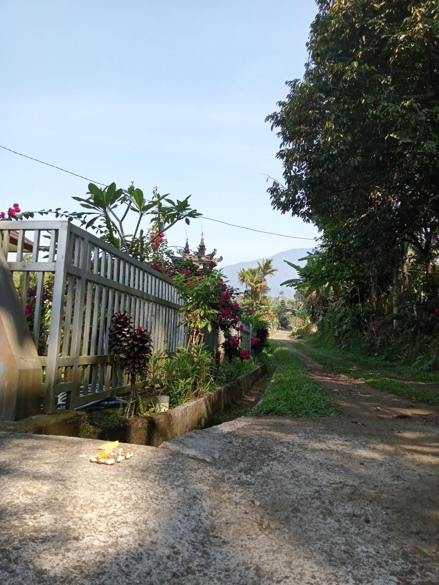 Appartement Umah Kampung Bendul à Penebel Extérieur photo